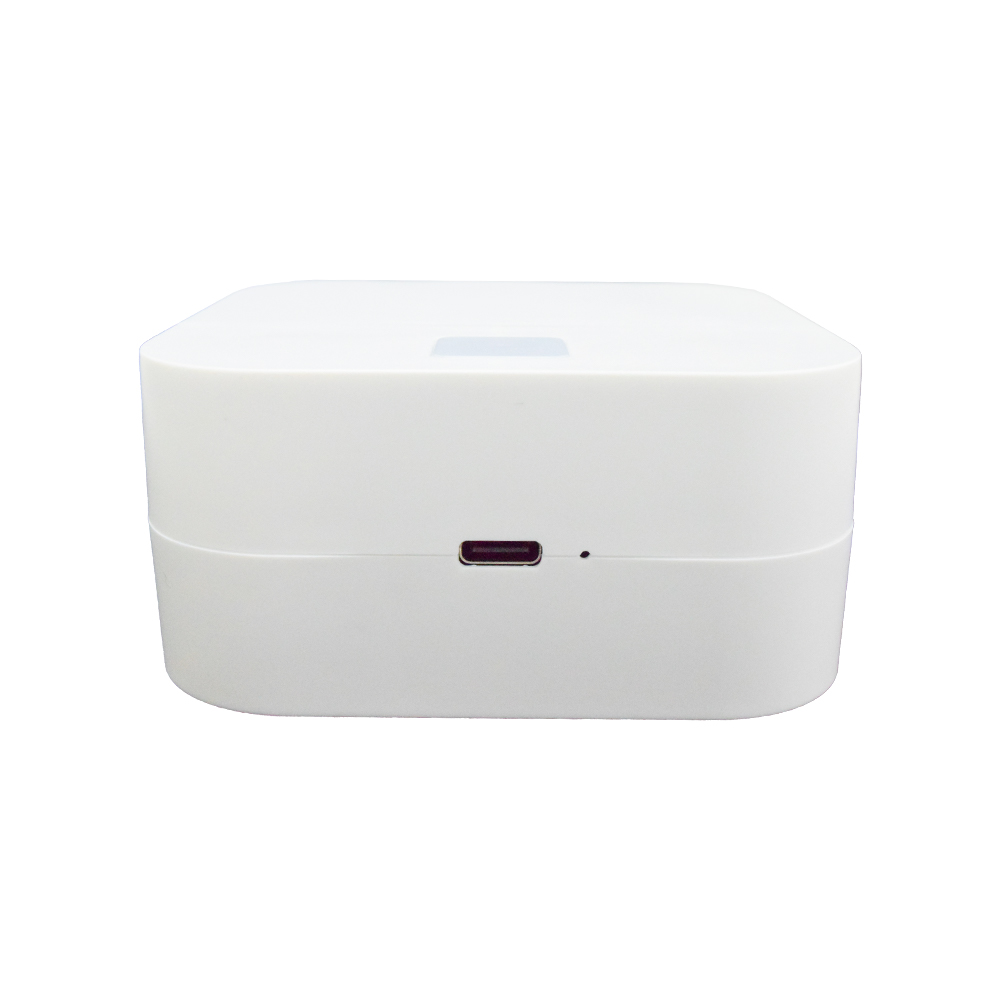 56mm 2英寸蓝牙便携式TSPL出租车标签，带1200mAh li-battery HCC-TP220